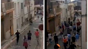 VÍDEO | Mor un home després de diverses i greus envestides d'un bou a la Vall d'Uixó