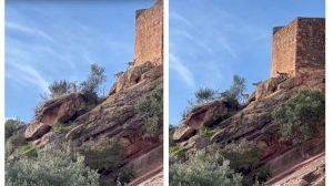 Espectáculo salvaje a los pies de uno de los pueblos más bonitos de España: la increíble lucha de unas cabras bajo el castillo de Vilafamés